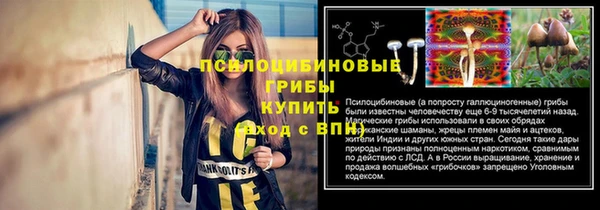 трава Алексеевка